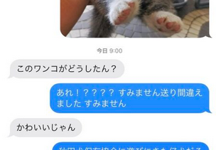 【ｗ】「間違えて上司に子犬画像を送ってしまったー!」→上司さんの反応が話題に