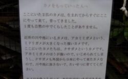 【誘拐】「カメをもっていった人へ」営業所の池に貼られたメッセージが悲しすぎる