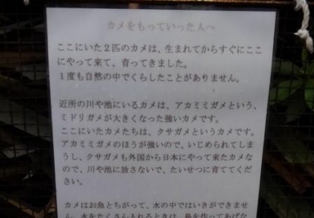 【誘拐】「カメをもっていった人へ」営業所の池に貼られたメッセージが悲しすぎる