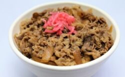 【ｷﾞｬｱｱｱｱｱｱ】「牛丼」を洗濯機に入れてみた！！！！！！！！