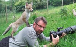 【うおおおお】「野生動物」、限界突破！！！！！！！！！