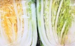 【目らうろこ】野菜のプロさん「白菜の切り口、黄色と緑色どちらが新鮮か」が衝撃的！