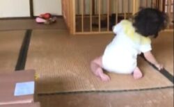 【爆笑】初めて桃を食べた1才女児のリアクションが話題に「可愛いすぎるｗ」