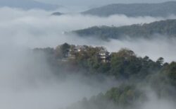 【驚】日本列島を守ってたのは「湿度」だった！ウイルスの感染力を奪い、害虫大量発生をカビが駆逐・・