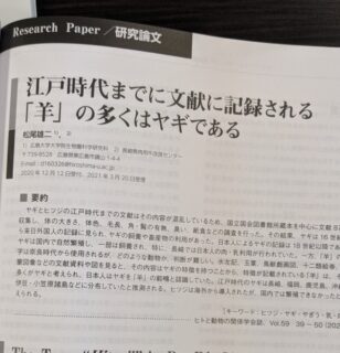 【びっくり】江戸時代までに文献に記録されているヒツジ、ほとんどがヤギだった！