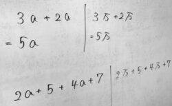 【なるほどね！】文字式の加減法「ａ」を「万」にすると急に理解しやすくなることが判明！