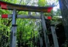 【昔からある神社のそば】地学に詳しい人による「住むのに適した場所とその理由」が大反響