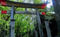 【昔からある神社のそば】地学に詳しい人による「住むのに適した場所とその理由」が大反響