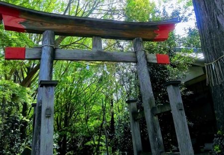 【昔からある神社のそば】地学に詳しい人による「住むのに適した場所とその理由」が大反響