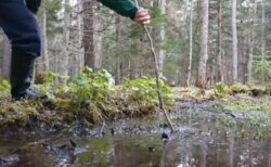 【アカン】阿寒湖畔、水たまりにしか見えない底なし沼！180cm以上の棒を飲み込む