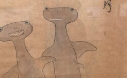 【えっ】江戸時代中期にかかれた『シュモクザメの絵』が可愛い！