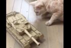 【凄】中学生の弟がダンボールとモーターで戦車作ったから見て！