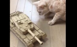 【凄】中学生の弟がダンボールとモーターで戦車作ったから見て！