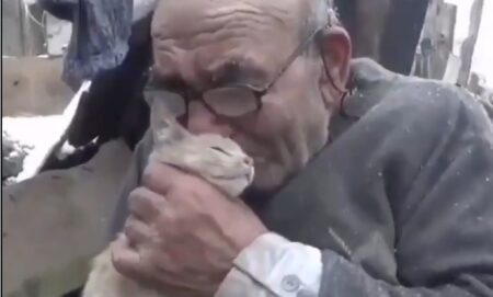 【動画】火事で全てを失ったおじいちゃん、大切な家族（猫）を抱きしめる