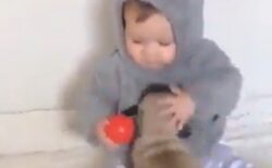 【6秒の癒やし】赤ちゃん×子犬 この可愛さは無敵！「かわいすぎて泣けてくる」