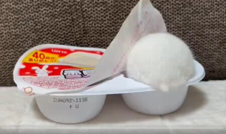 【！？】「雪見だいふく」から出てくるハムスターが可愛いｗｗｗｗ