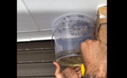 【！】ガソリンを利用した蜂の駆除方法、凄すぎる・・・