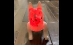 【恐怖】インドみやげにもらった犬のおもちゃ！完全にホラーな件！