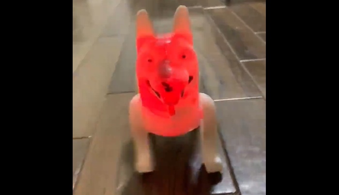 【恐怖】インドみやげにもらった犬のおもちゃ！完全にホラーな件！