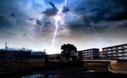 【驚愕】雷に打たれた「木の内部」がやばい。自然怖すぎ！