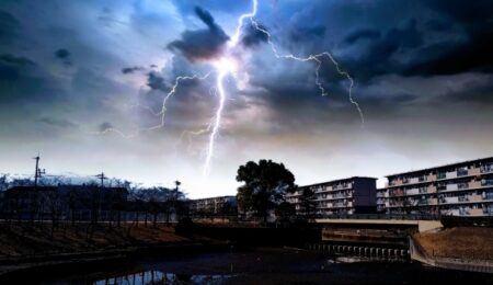 【驚愕】雷に打たれた「木の内部」がやばい。自然怖すぎ！