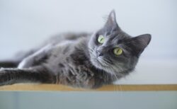 【笑】雨の中、誰かが爆睡していた形跡がかわいい