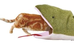 【閲覧注意】ヘビの口から入っちゃった猫、安らかに眠る・・・大丈夫なのこれ？