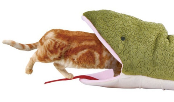 【閲覧注意】ヘビの口から入っちゃった猫、安らかに眠る・・・大丈夫なのこれ？