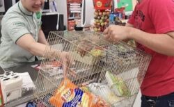 【笑】タイでビニール袋が禁止された結果 → とんでもないマイバッグを持参する人が続々