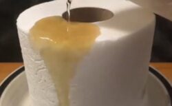 【閲覧注意】濃硫酸をトイレットペーパーにかけると・・やばすぎ怖すぎ！！