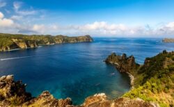 【動画】小笠原の海で「フグに乗って移動する魚」が発見される！カワイイｗｗｗｗ