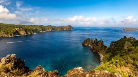 【動画】小笠原の海で「フグに乗って移動する魚」が発見される！カワイイｗｗｗｗ
