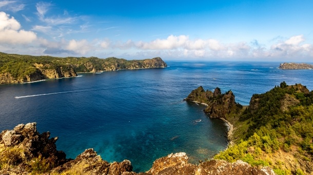 【動画】小笠原の海で「フグに乗って移動する魚」が発見される!カワイイwwww