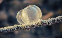 【冬の花火】瞬時に凍っていくフロントガラスが美しすぎる「これが北海道」