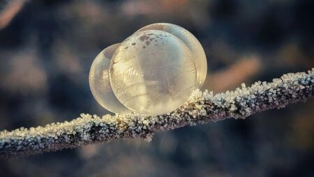 【冬の花火】瞬時に凍っていくフロントガラスが美しすぎる「これが北海道」
