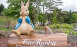 【ピーターラビット】水色の服を着たたれ耳うさぎが可愛すぎた！