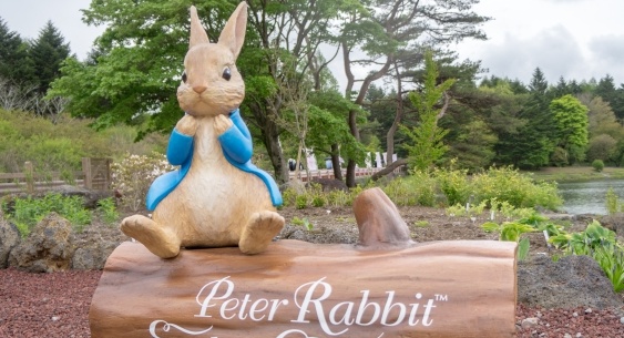 【ピーターラビット】水色の服を着たたれ耳うさぎが可愛すぎた！