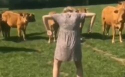 「すべての生物が逃げる動き」が面白すぎる！