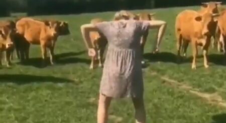 「すべての生物が逃げる動き」が面白すぎる！