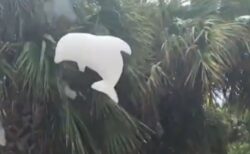 【空飛ぶ泡】ヘリウムと混ざって飛んでいくいろんな形の泡風船、これはやってみたい！