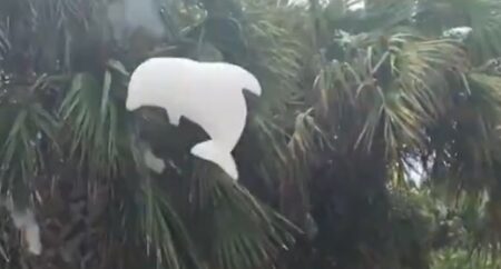 【空飛ぶ泡】ヘリウムと混ざって飛んでいくいろんな形の泡風船、これはやってみたい！