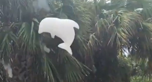 【空飛ぶ泡】ヘリウムと混ざって飛んでいくいろんな形の泡風船、これはやってみたい！