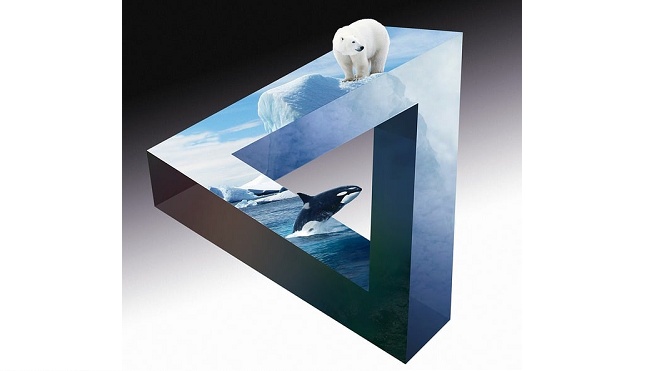 ジョウロで作った「永久機関」が凄い　ワクワクする！