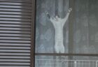 【爆笑】散歩中、視線を感じ振り返ったら・・窓に張り付いた真顔の猫！
