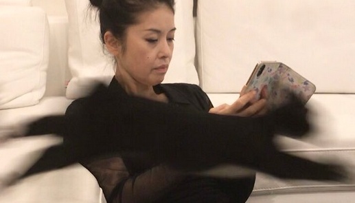 【ｗ】藤あや子さんの目の前を猛スピードで通過する猫2匹！とあや子さんの反応