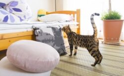 【重要】新居を探す際に注目すべき4つのポイントが話題　経験談も続々