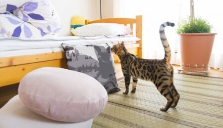 【重要】新居を探す際に注目すべき4つのポイントが話題　経験談も続々