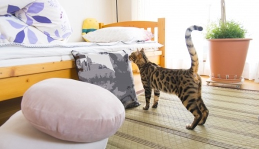 【重要】新居を探す際に注目すべき4つのポイントが話題 経験談も続々