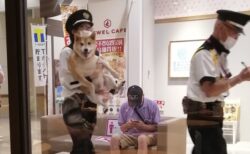 【目線ｗ】抱っこで連れ出される犬が話題「嬉しそうｗ」