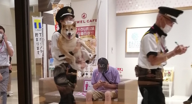 【目線w】抱っこで連れ出される犬が話題「嬉しそうw」